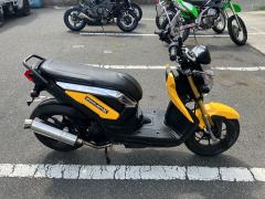 Honda ZOOMER-X 2013