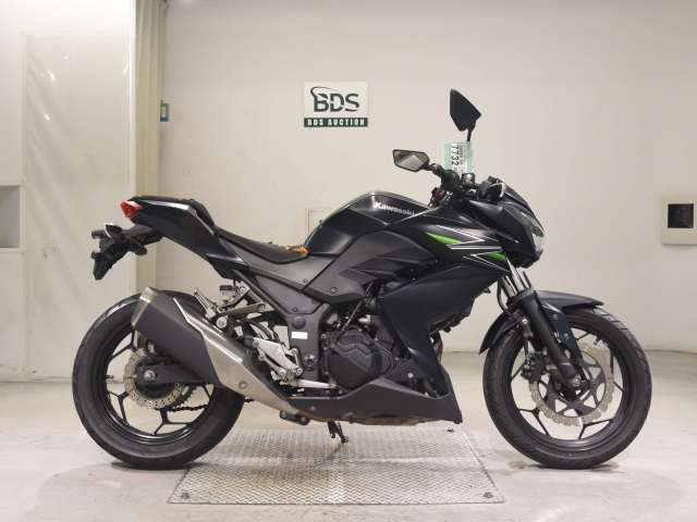 Kawasaki Z250 2013