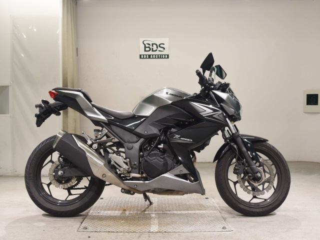 Kawasaki Z250A 2015