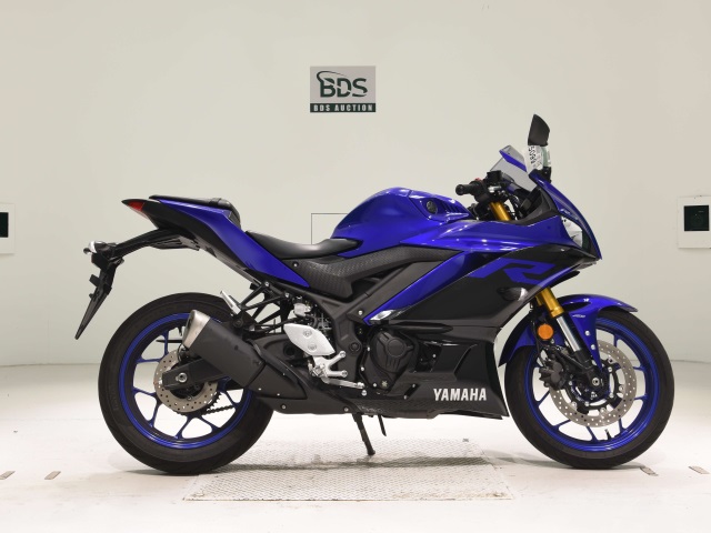 Yamaha YZF-R3 2019