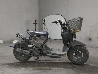 Honda ZOOMER 2007