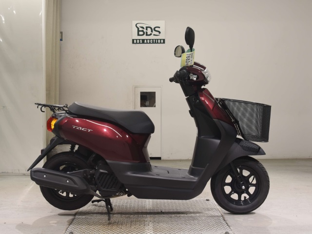Honda TACT-4 BASIC 2024