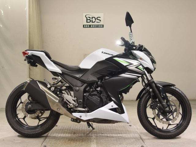 Kawasaki Z250 2014