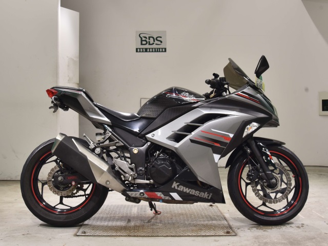 Kawasaki NINJA250 2013