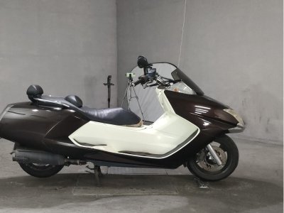 Yamaha MAGZAM 2010