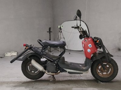 Honda ZOOMER 2007