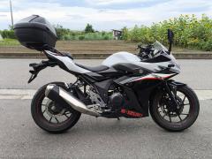 Suzuki GSX250R