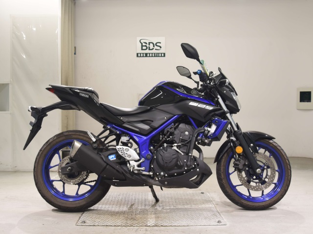 Yamaha MT-25 2018