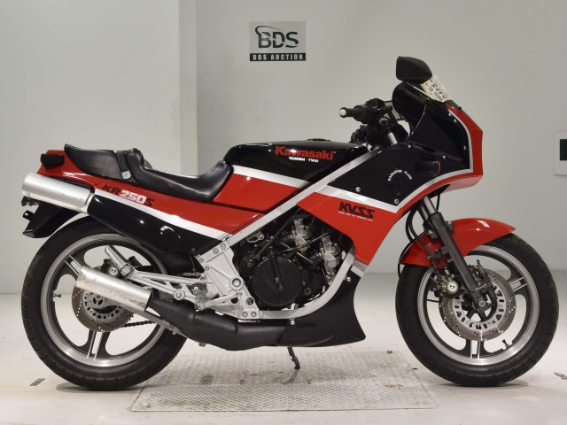 Kawasaki KR250S 1985