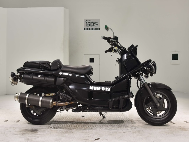 Honda PS250 BIG RUCKUS 2006