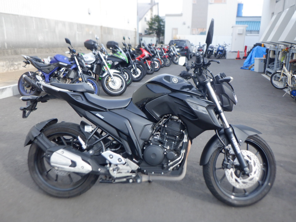 Yamaha FZ25 2017