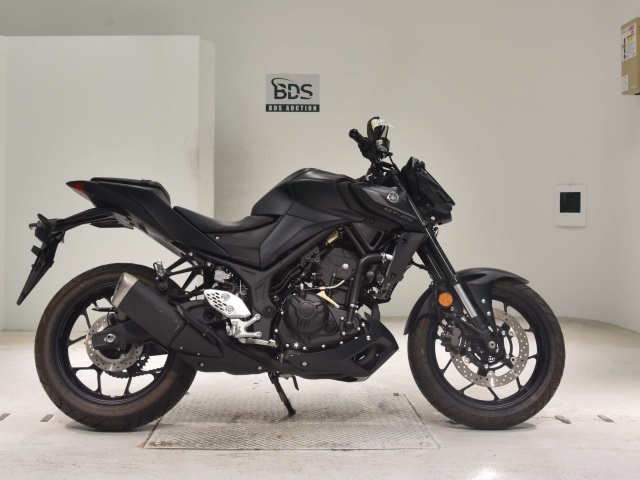 Yamaha MT-25 2021