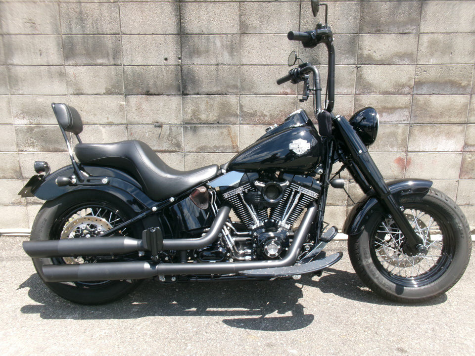 HD SLIM S FLSS1800 2016
