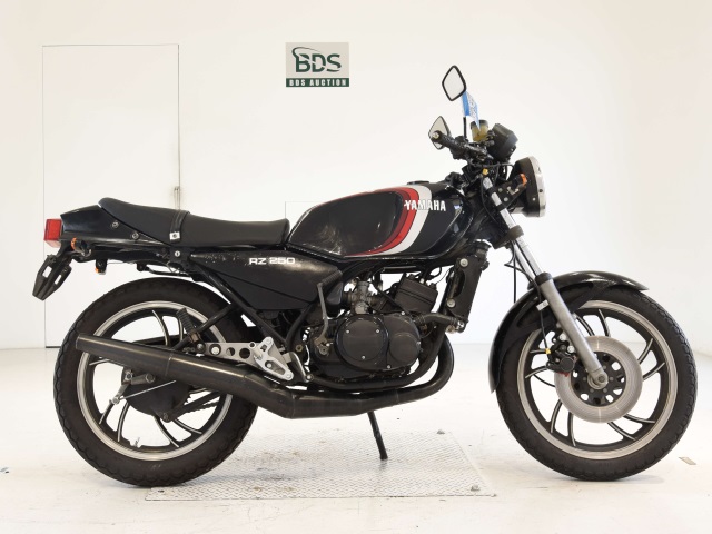 Yamaha RZ250