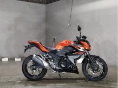 Kawasaki Z250 2014