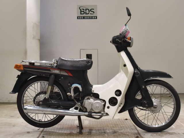 Suzuki BIRDIE50