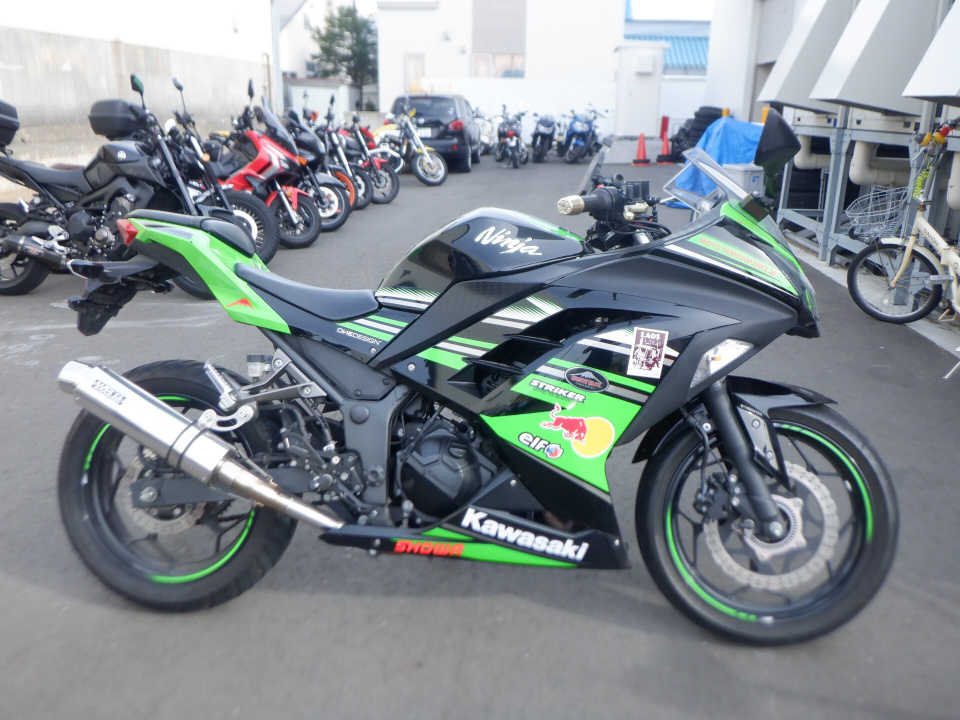 Kawasaki NINJA250 2017