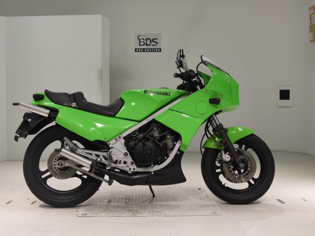 Kawasaki KR250