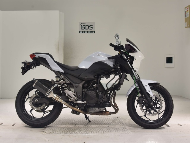 Kawasaki Z250 2013