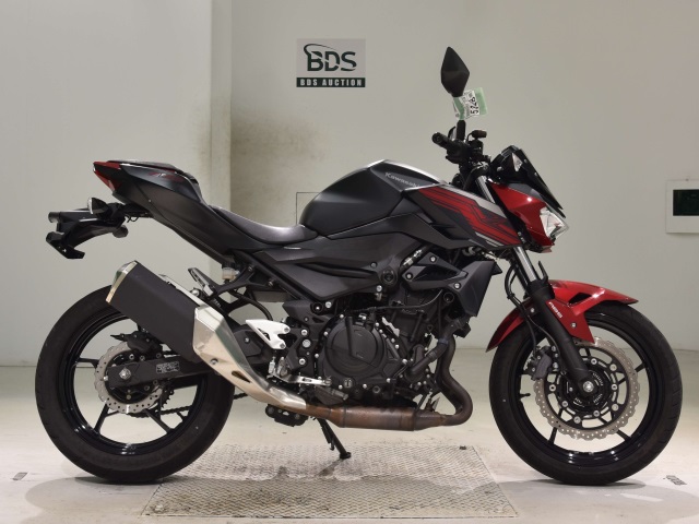 Kawasaki Z250 2019