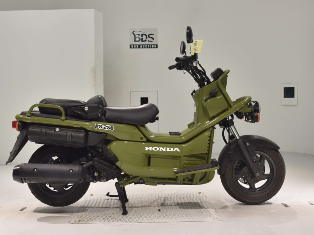 Honda PS250 BIG RUCKUS 2006