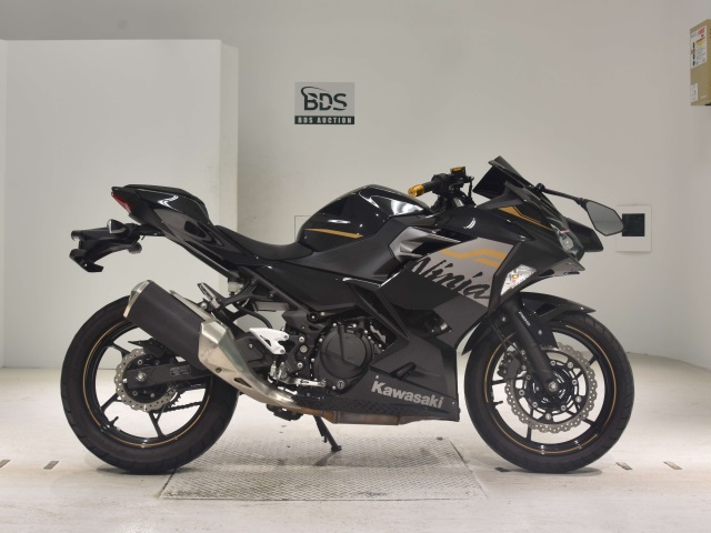 Kawasaki NINJA250 2020