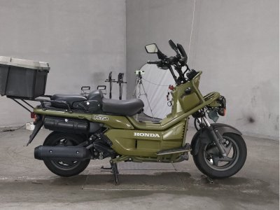 Honda PS250 BIG RUCKUS 2006