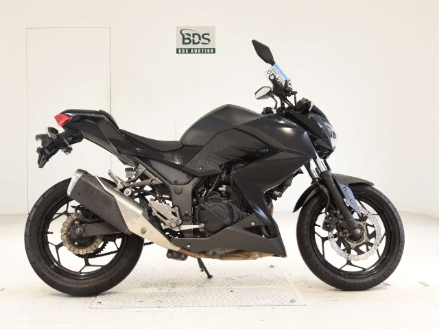 Kawasaki Z250 2015