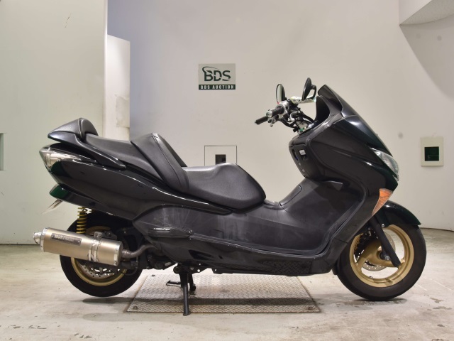 Honda FORZA Z 2007