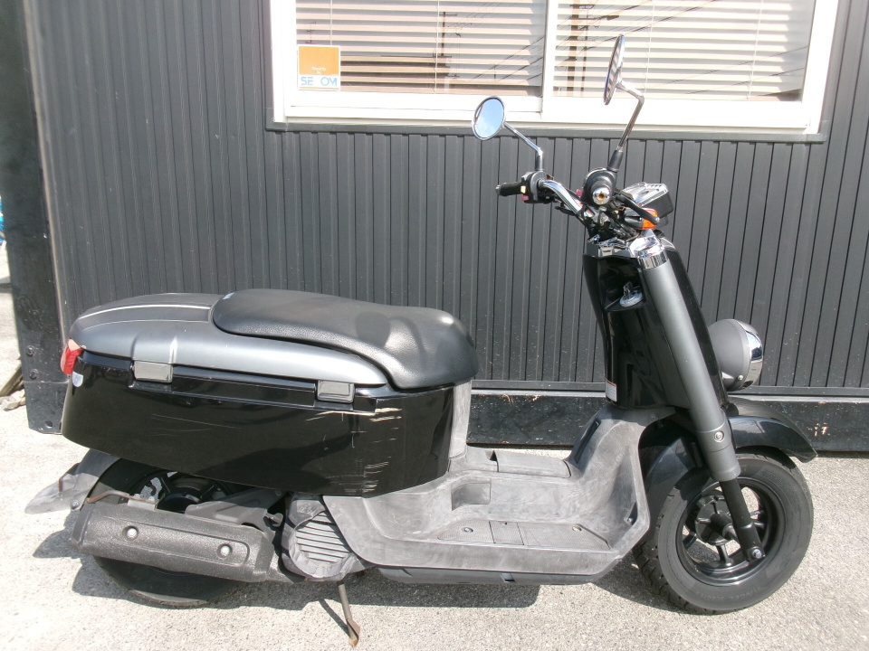 Yamaha VOX