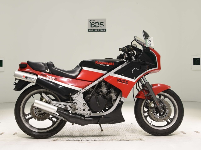 Kawasaki KR250S 1985