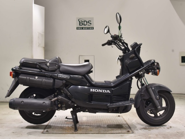 Honda PS250 BIG RUCKUS 2006