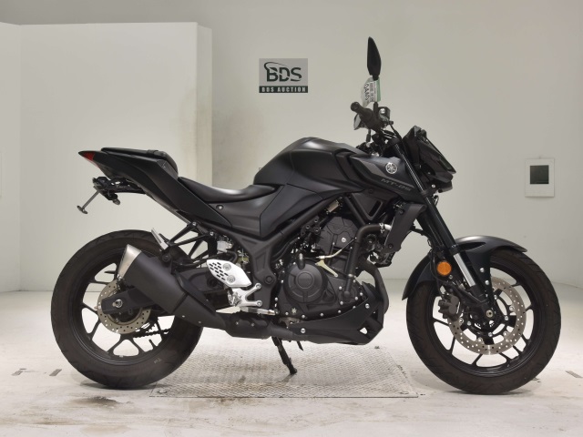 Yamaha MT-25 2022
