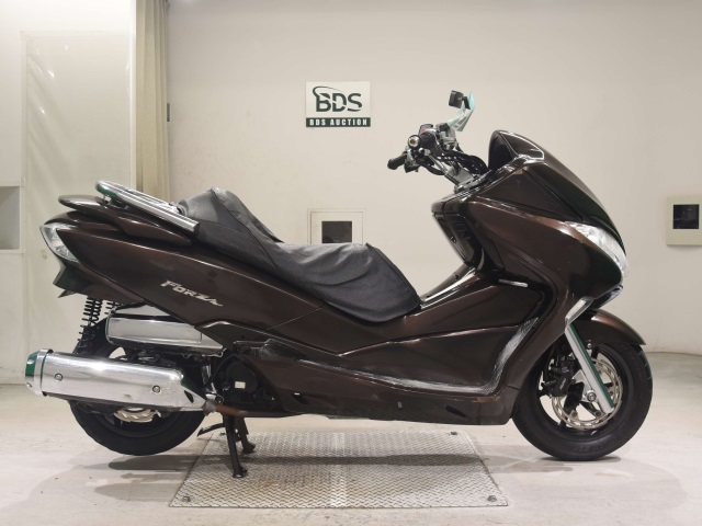 Honda FORZA Z 2008