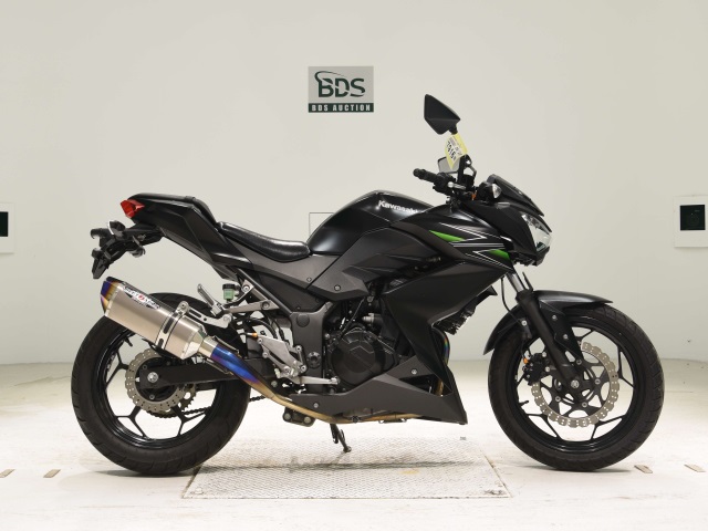 Kawasaki Z250 2013
