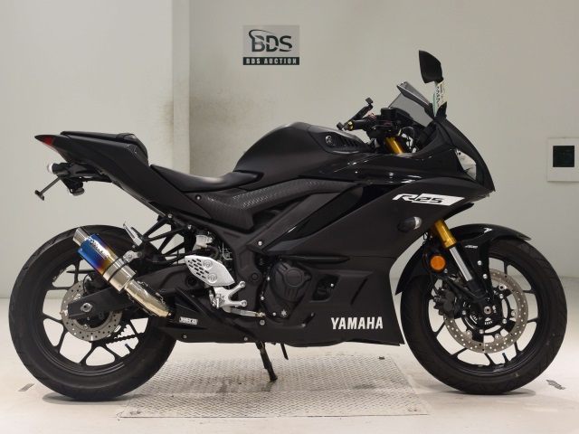 Yamaha YZF-R25 2019