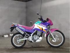 Kawasaki KLE250 ANHELO 1993