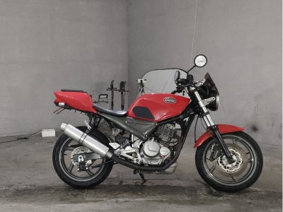 Suzuki GOOSE250 1992