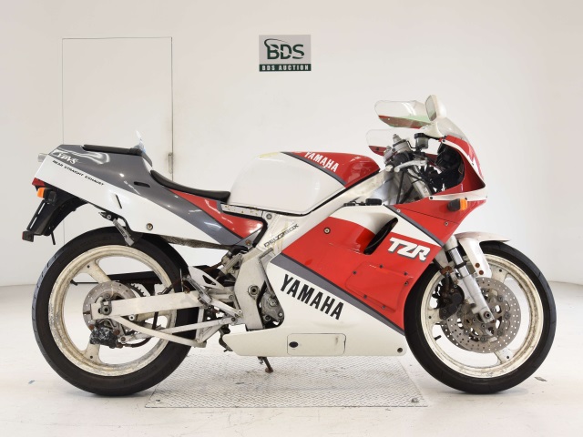 Yamaha TZR250 1990