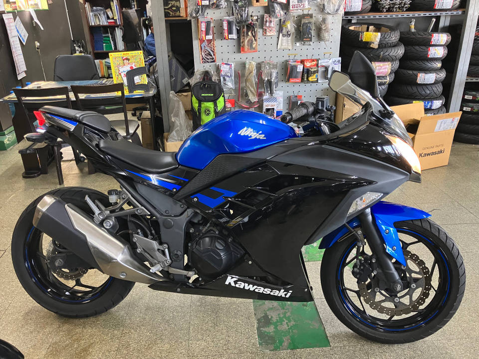Kawasaki NINJA250 2015