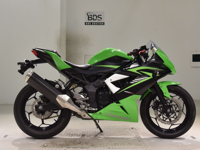 Kawasaki NINJA250 2015