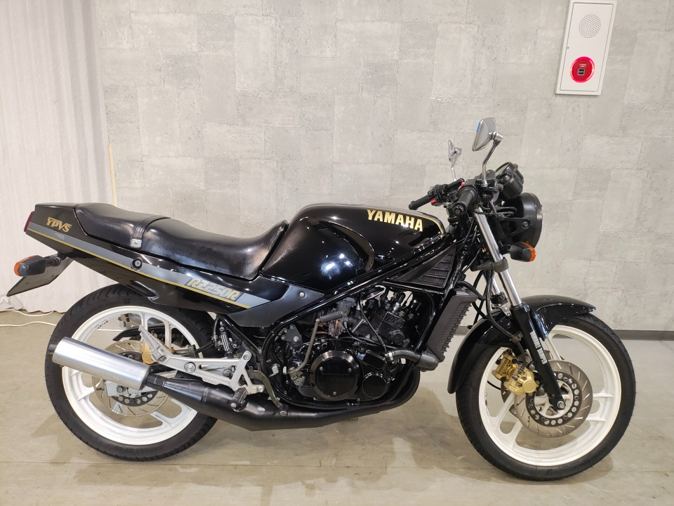 Yamaha RZ250R 1986