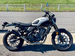 Honda CL250 2023