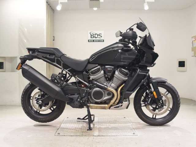 HD PAN AMERICA1250 S 2022