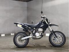 Kawasaki D-TRACKER250 2002