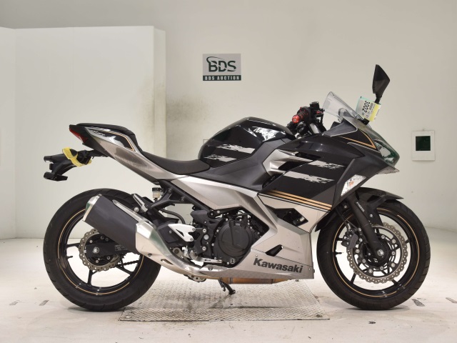 Kawasaki NINJA250 2019