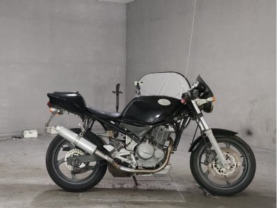 Suzuki GOOSE250 1992
