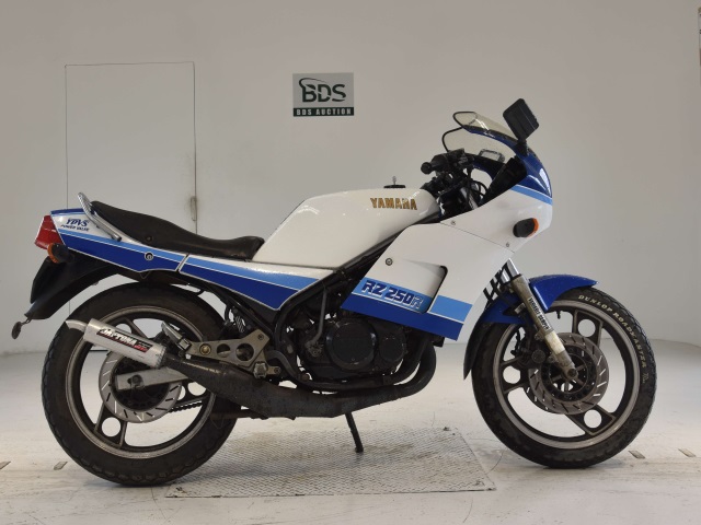 Yamaha RZ250RR 1984