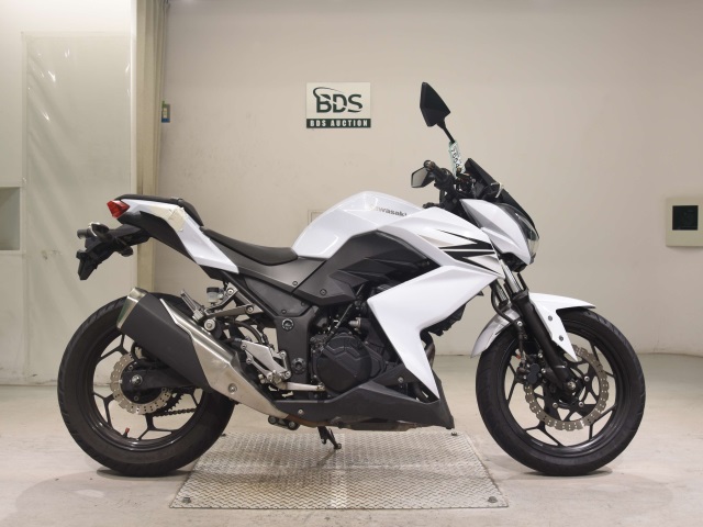 Kawasaki Z250 2013