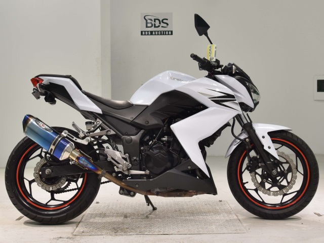 Kawasaki Z250 2013